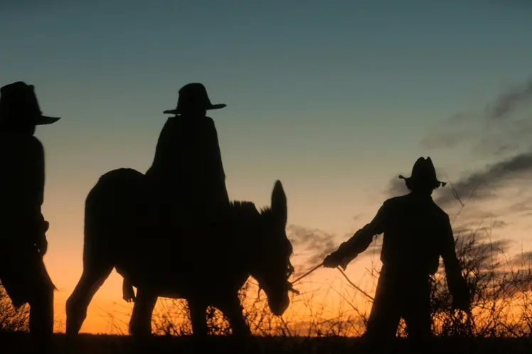 Wolfram , Bunya Productions