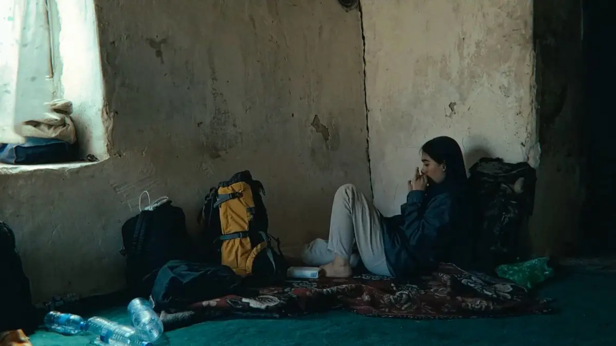 A Fox Under a Pink Moon