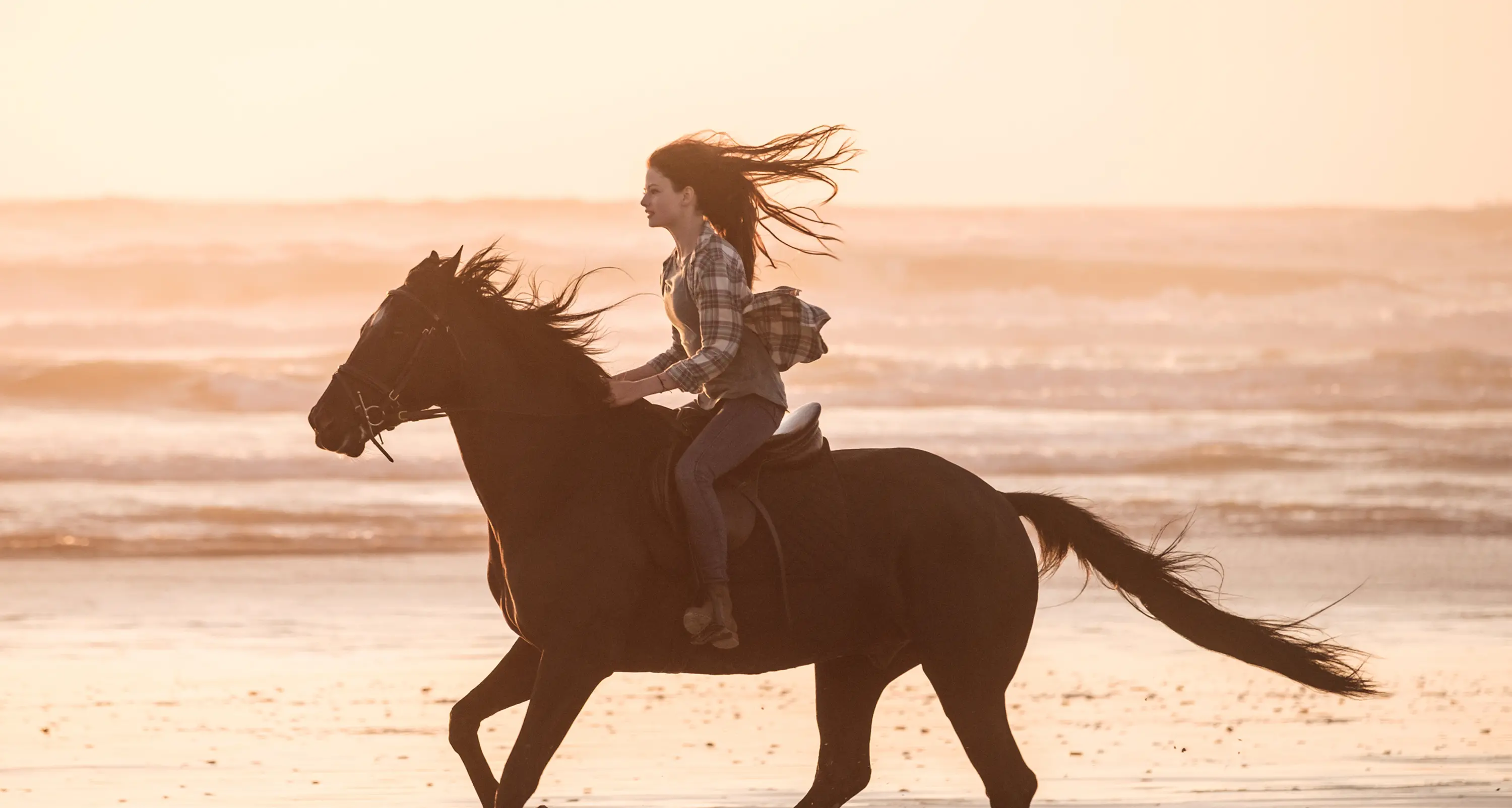 Black Beauty - Autobiografia di un cavallo