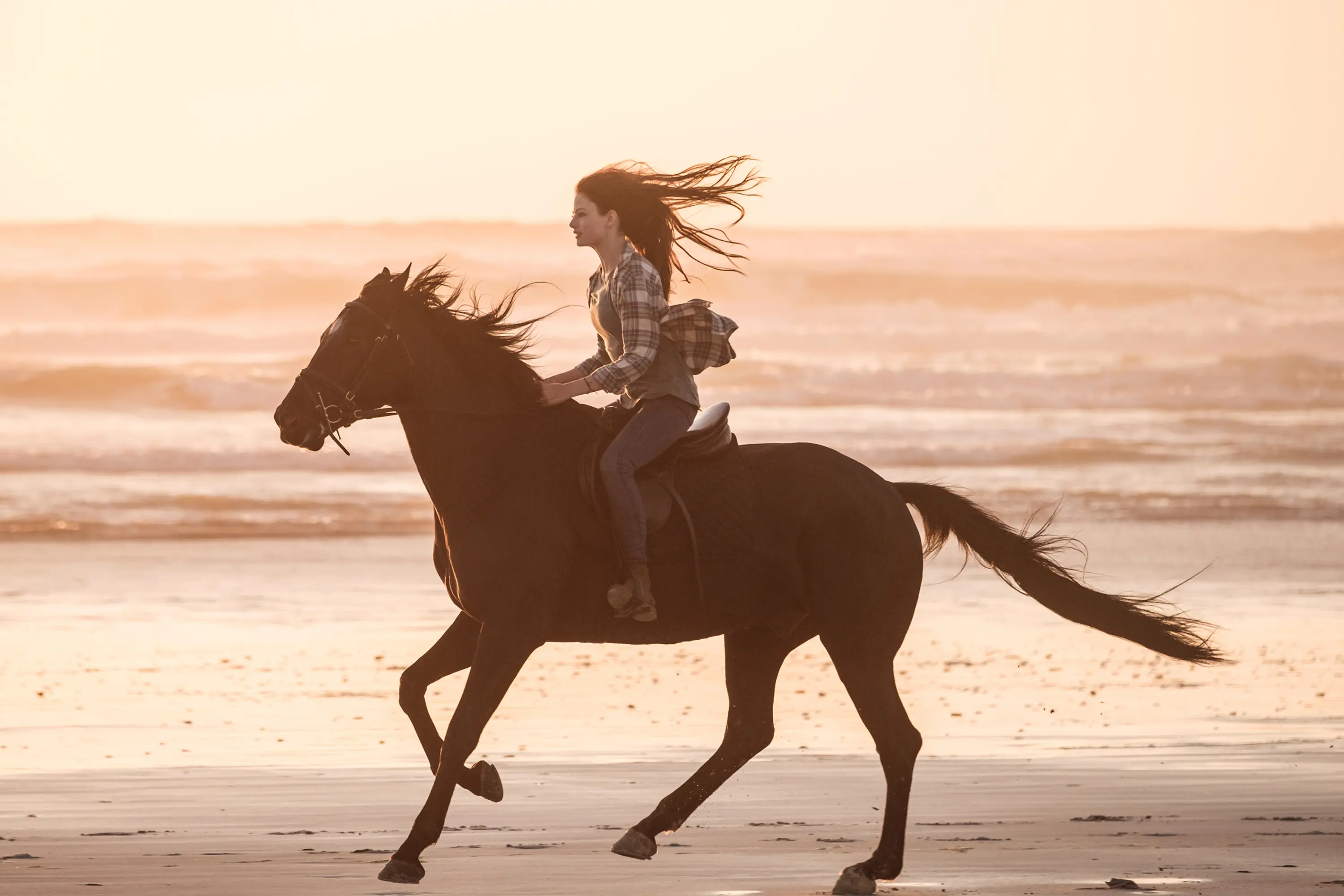 BLACK BEAUTY - (Disney/Graham Bartholomew)