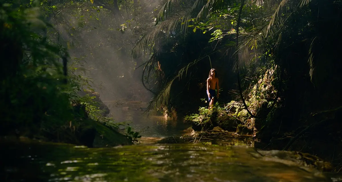 The Garden of Earthly Delights