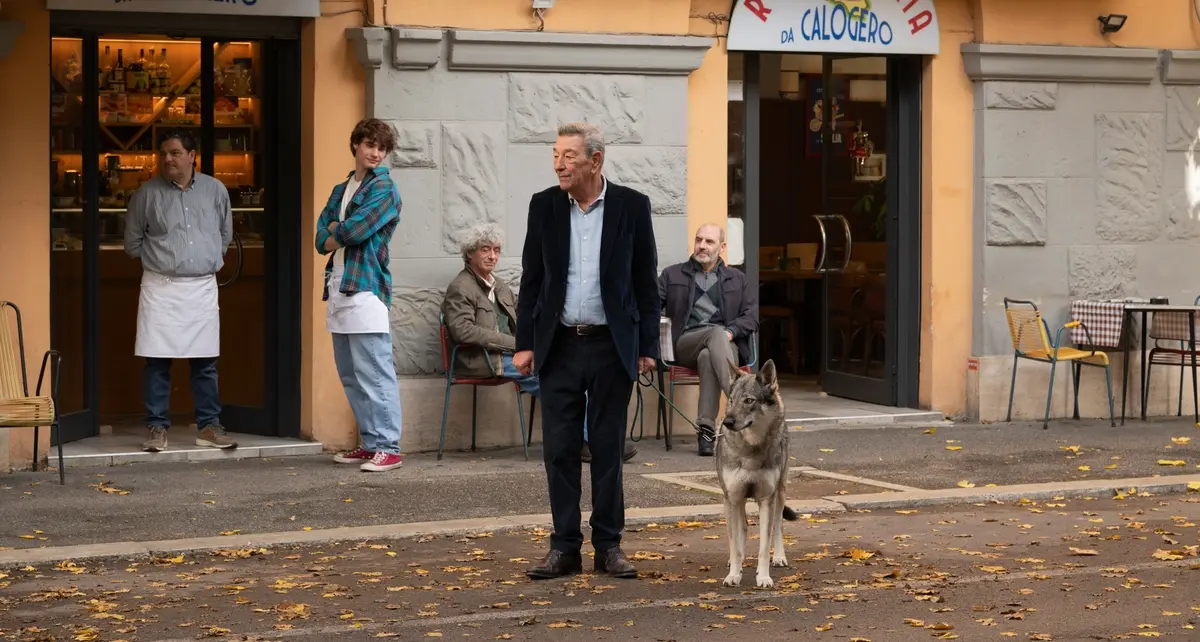 Come ti muovi, sbagli