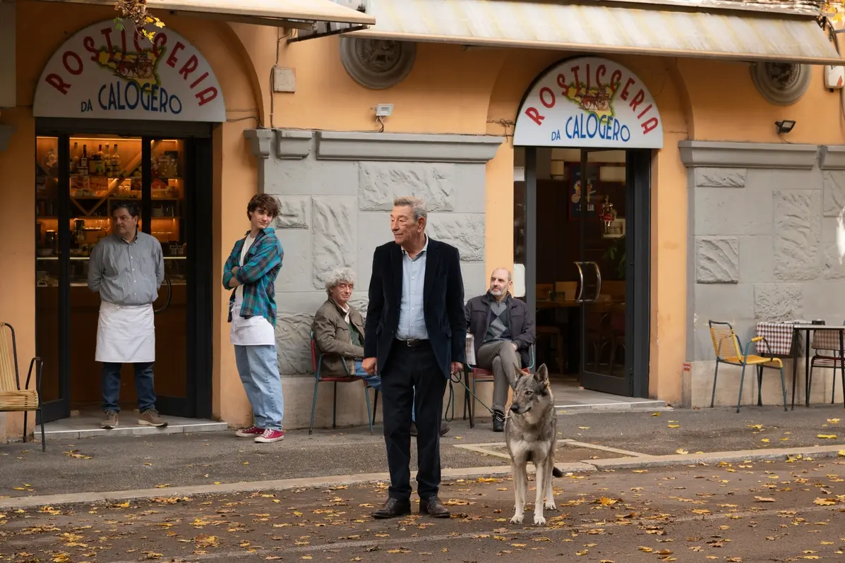 Come ti muovi, sbagli , Francesco Gallo