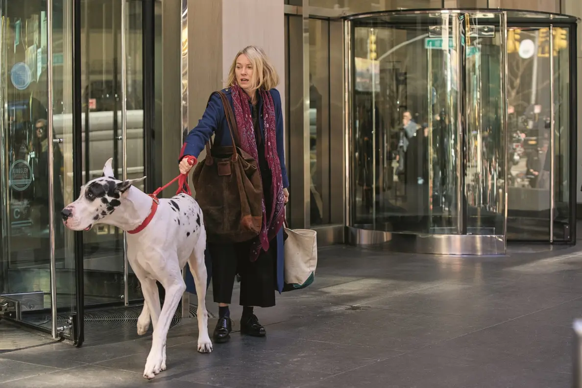 Naomi Watts in L\\'amico fedele , Bleecker Street