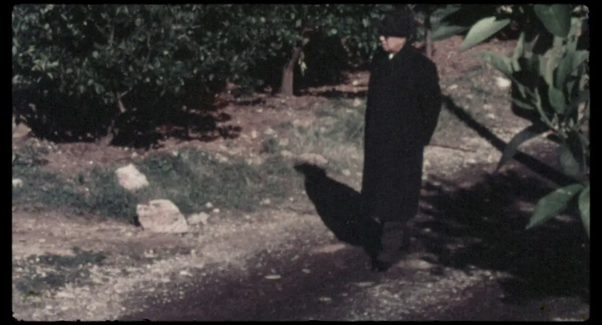 Film di Stato (2025)