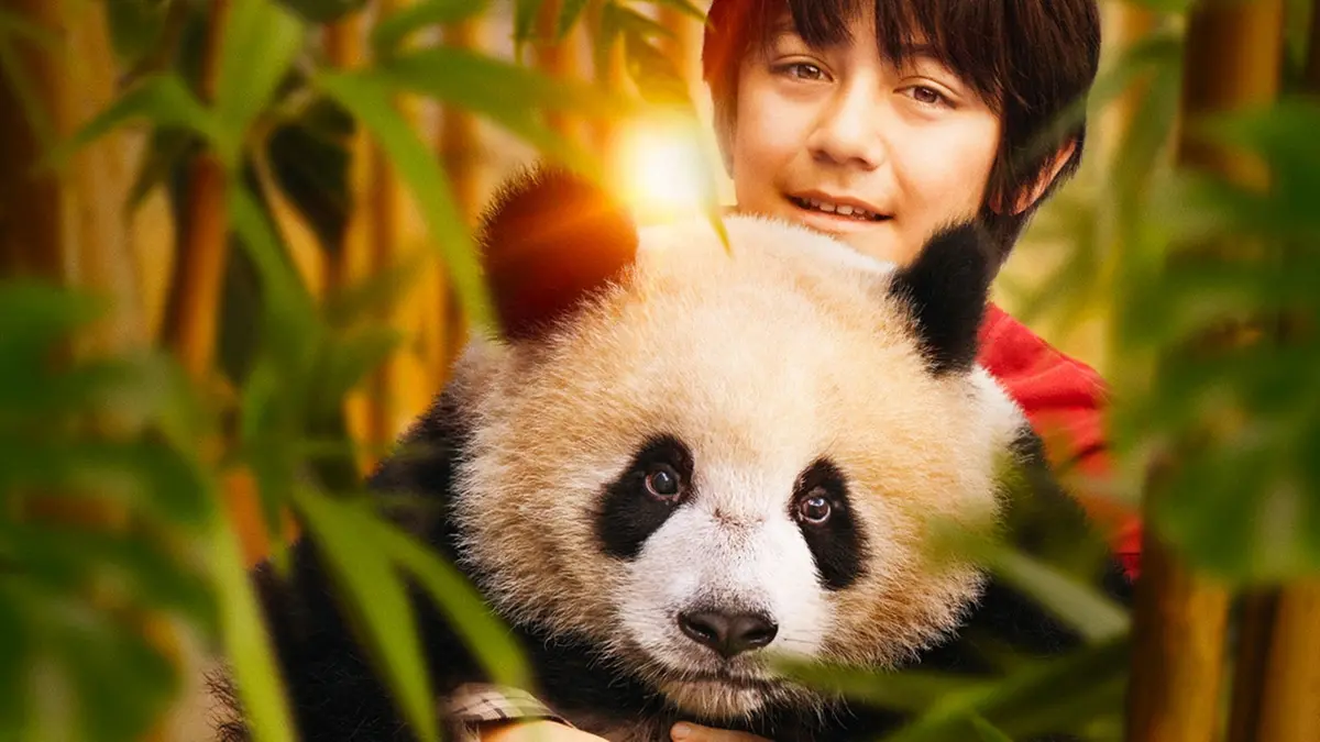 Moon il panda