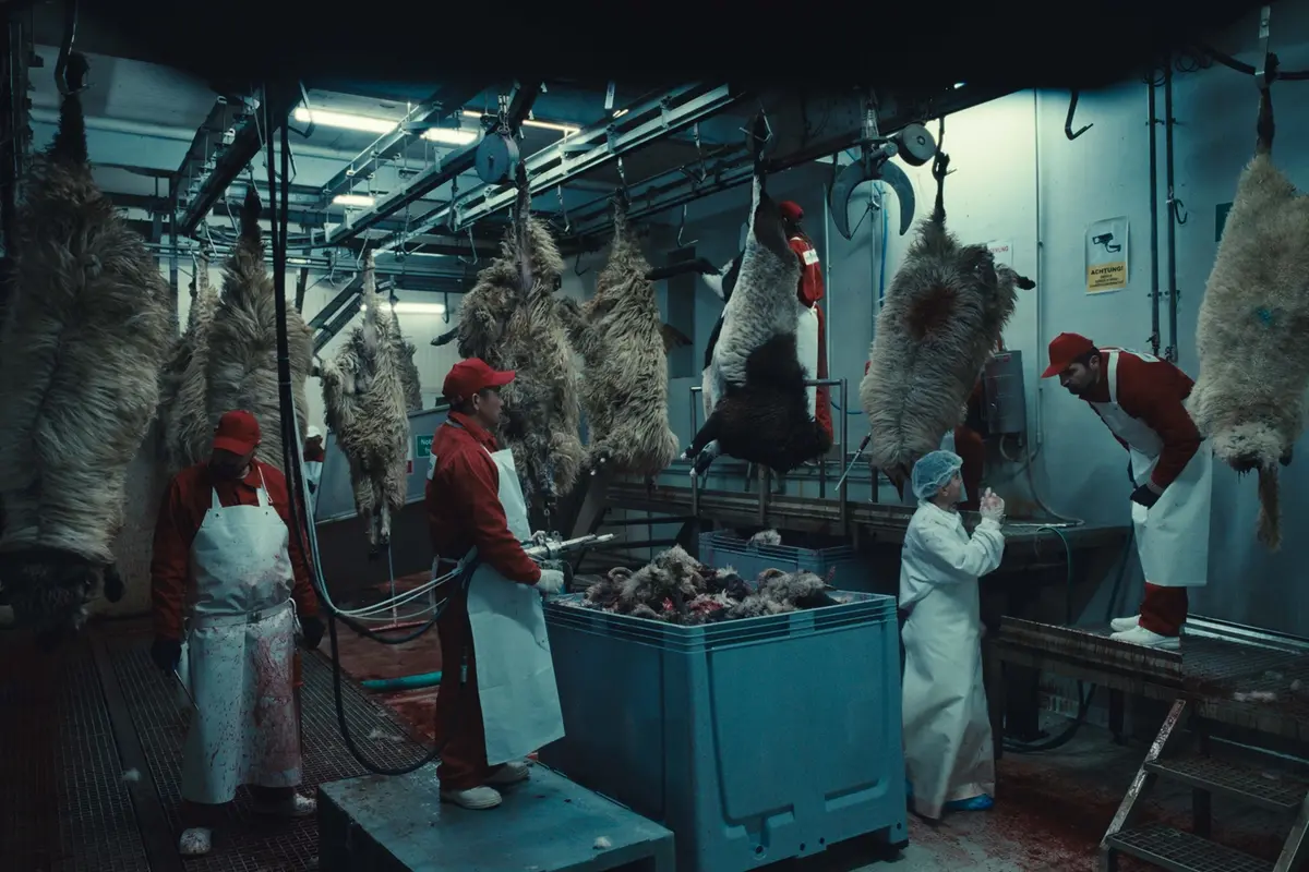 Animali selvatici
