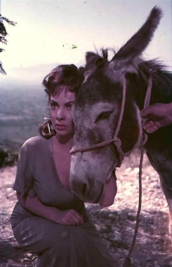 Gina Lollobrigida in Pane, amore e gelosia (Titanus/Webphoto)