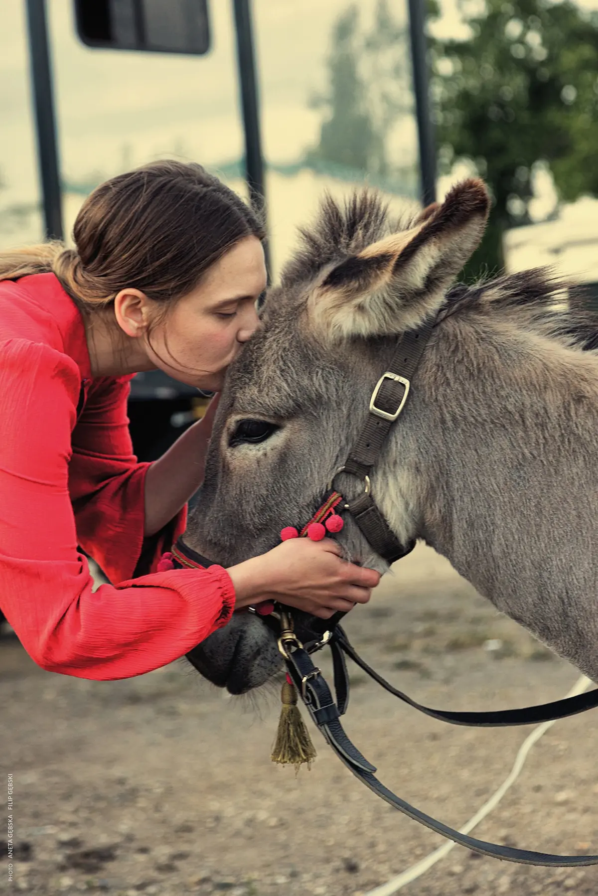 EO © Aneta Gębska e Filip Gębsk