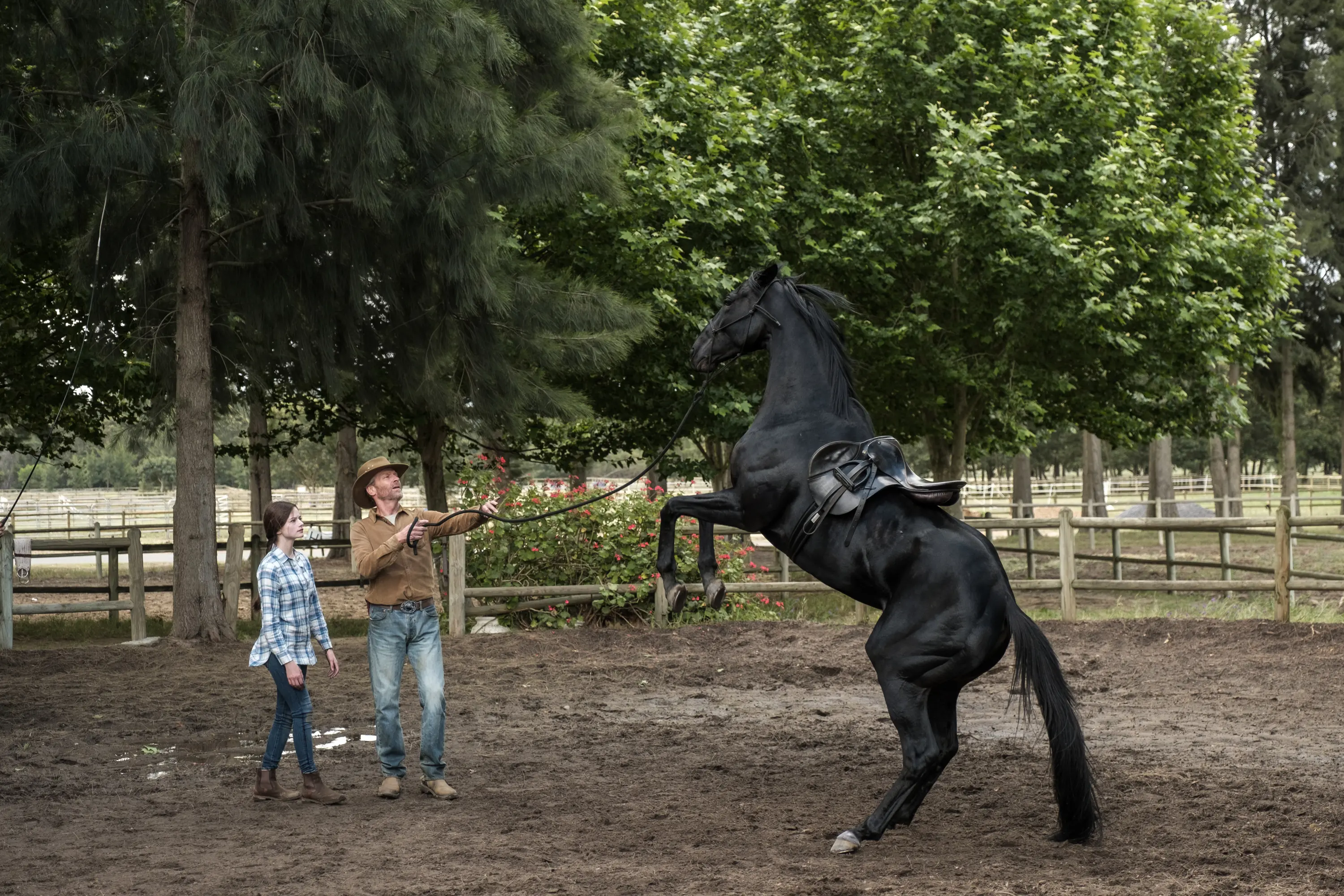 BLACK BEAUTY - A wild horse and a teenage girl forge an unbreakable bond which keeps them connected for a lifetime. (Disney/Graham Bartholomew)MACKENZIE FOY, IAIN GLEN, BLACK BEAUTY