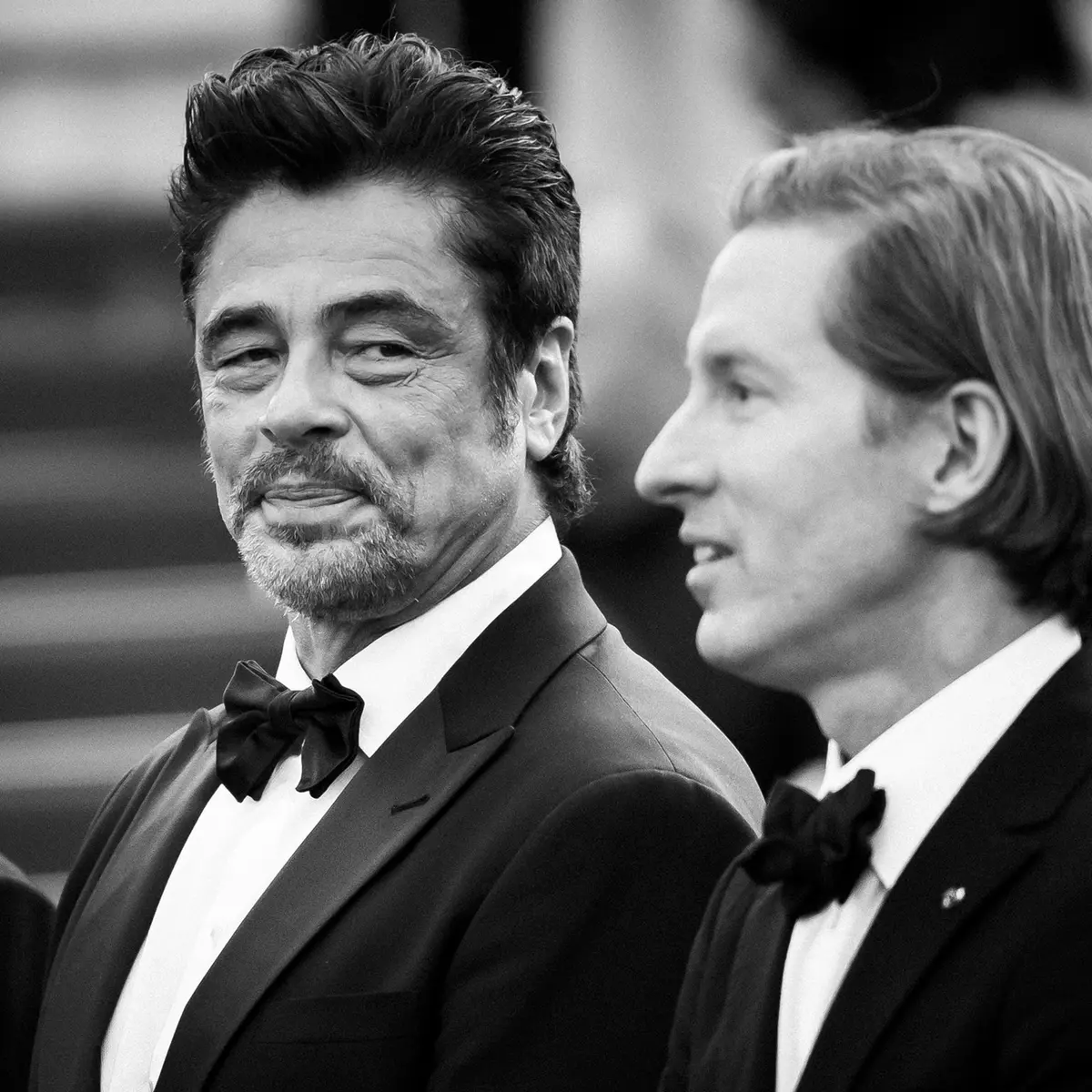 Cannes 78, il red carpet di La trama fenicia