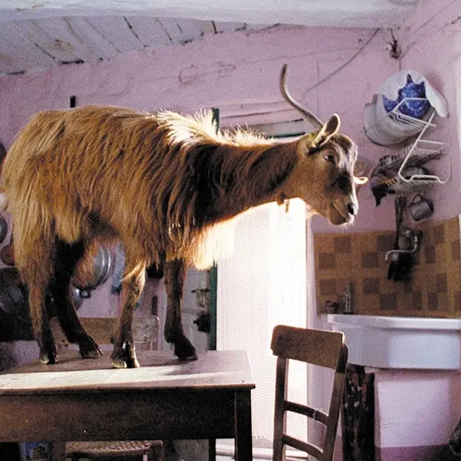 Il reale trasfigurato