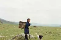 <i>Il cane giallo della Mongolia</i>