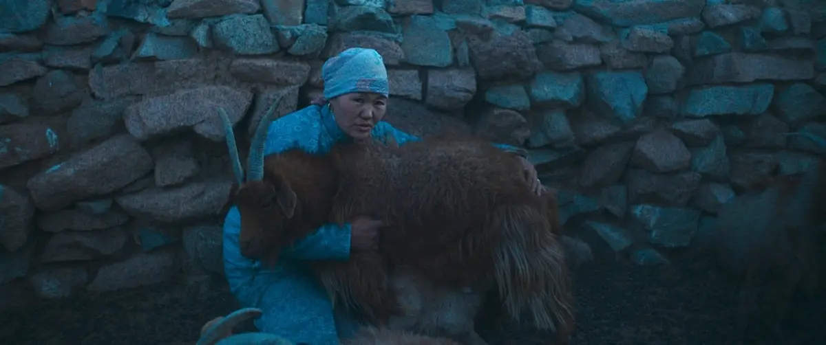 The Wolves Always Come at Night