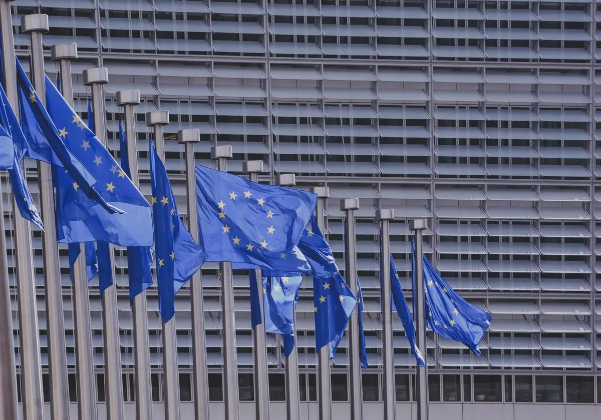 Free European Union flags image, public domain CC0 photo. More: View public domain image source here