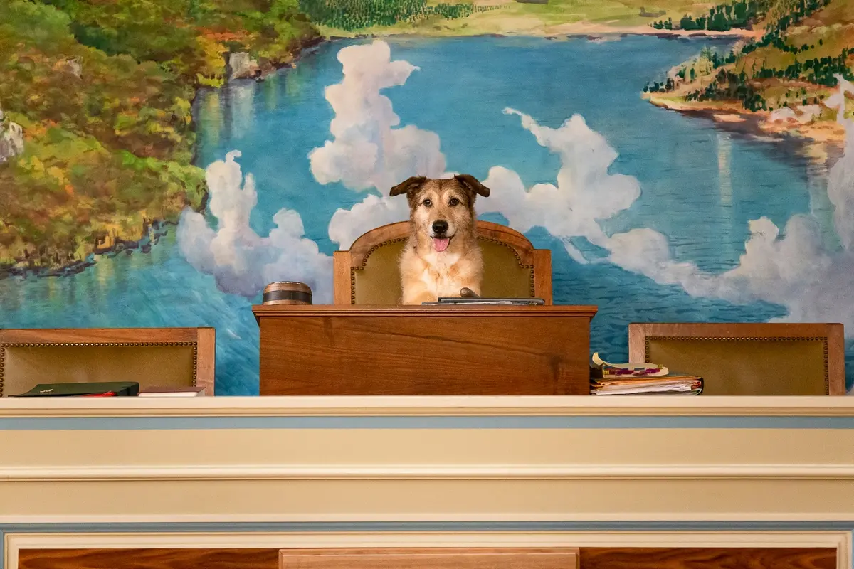 ©Dorothée Thébert Filliger