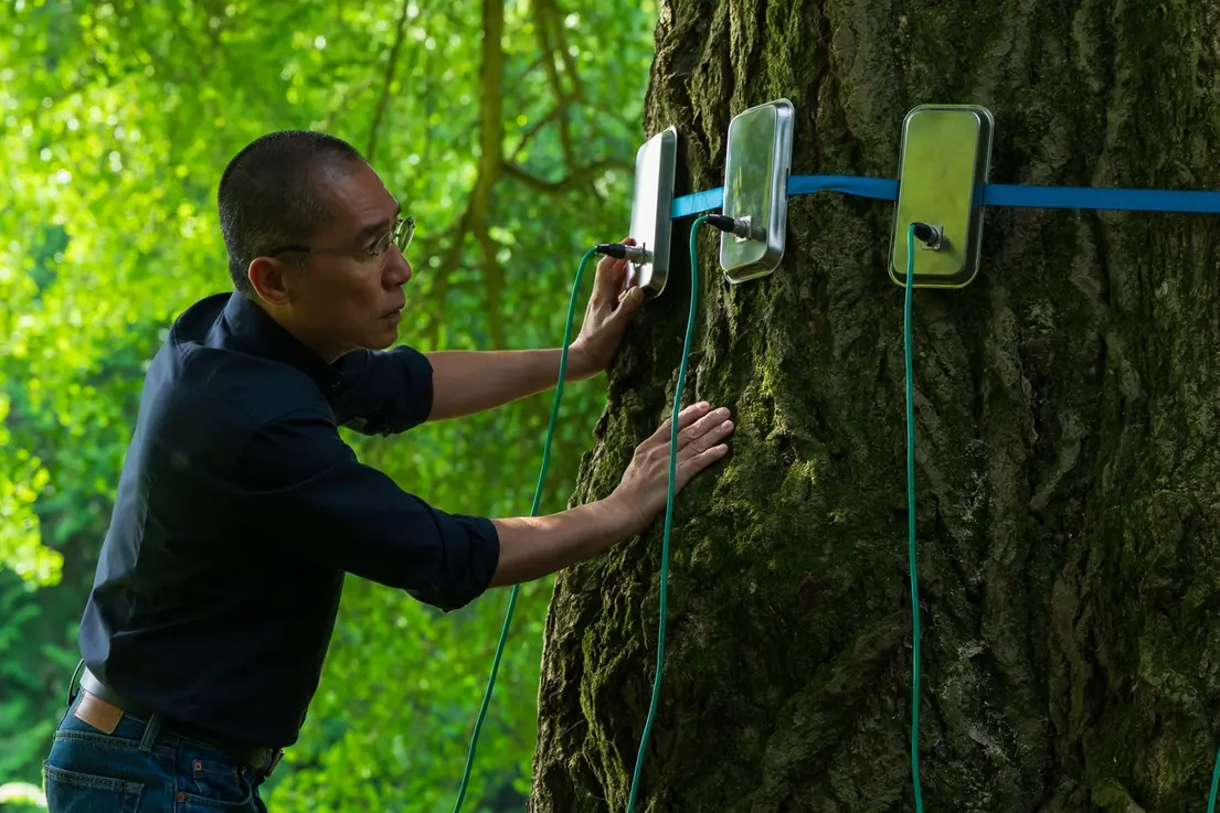 Tony Leung Chiu-wai in Silent Friend , Szilagyi Lenke