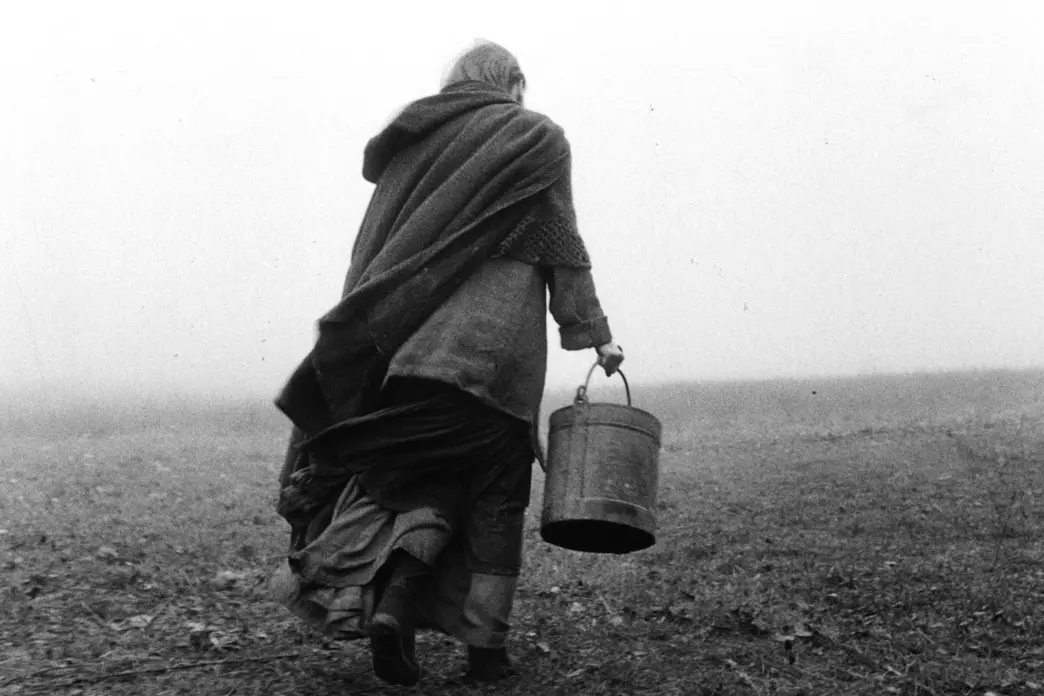 Il cavallo di Torino (2011)