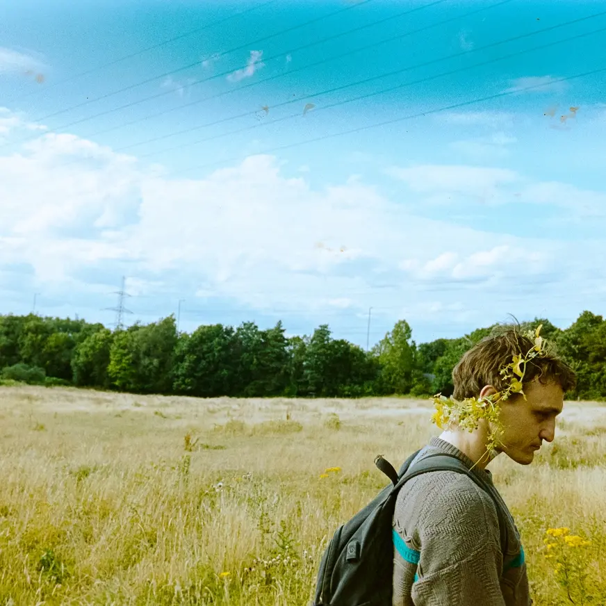 Bird, The Legend of Ochi, Cuore selvaggio e tutti i film in arrivo dall’8 maggio