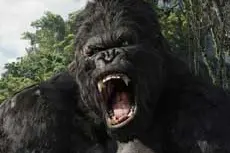 <i>King Kong</i>