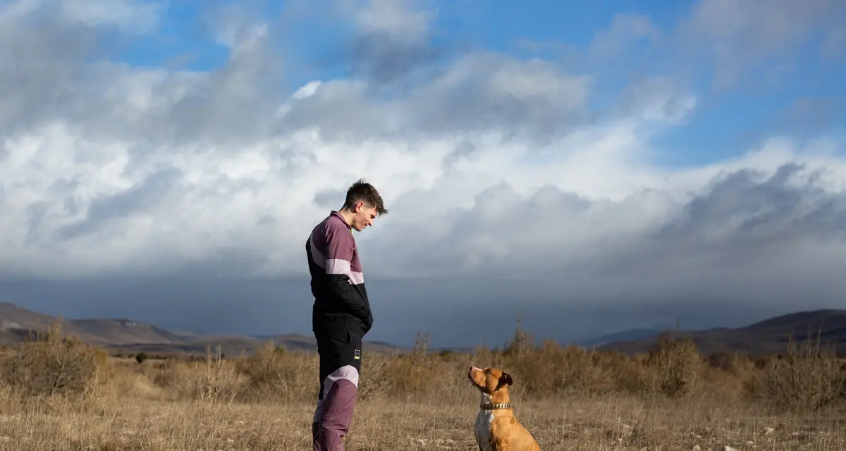 Chien de la casse