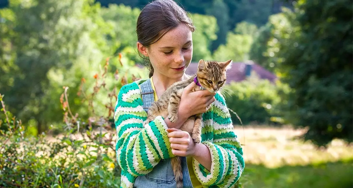 Vita da gatto, quando l'istinto felino salva