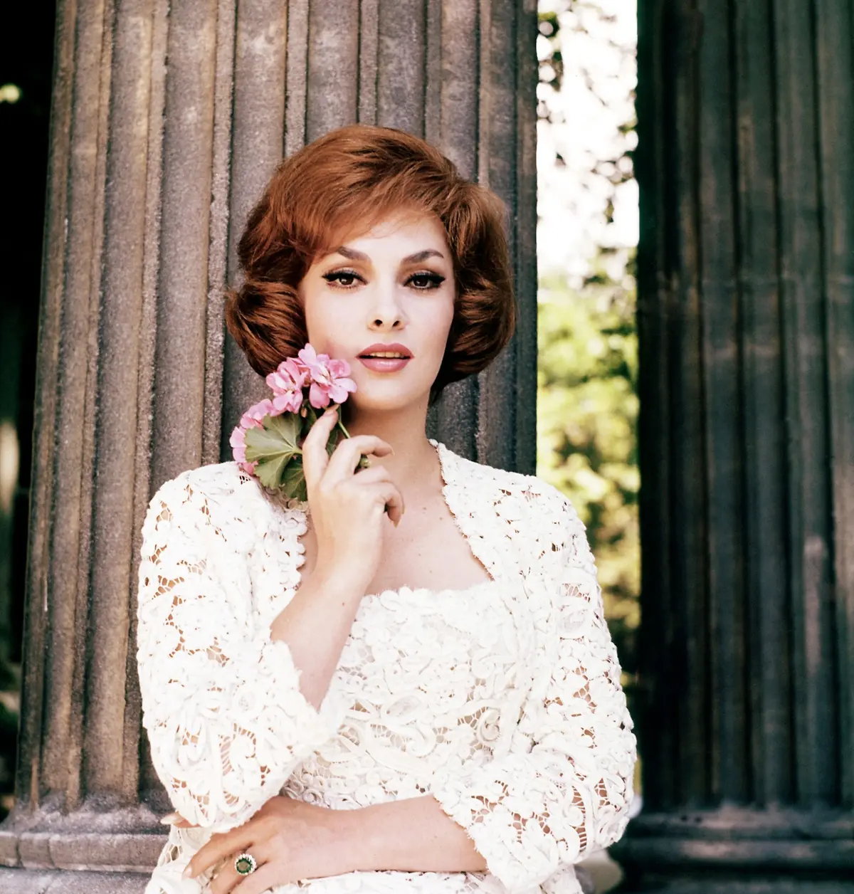 Gina Lollobrigida (Annex)