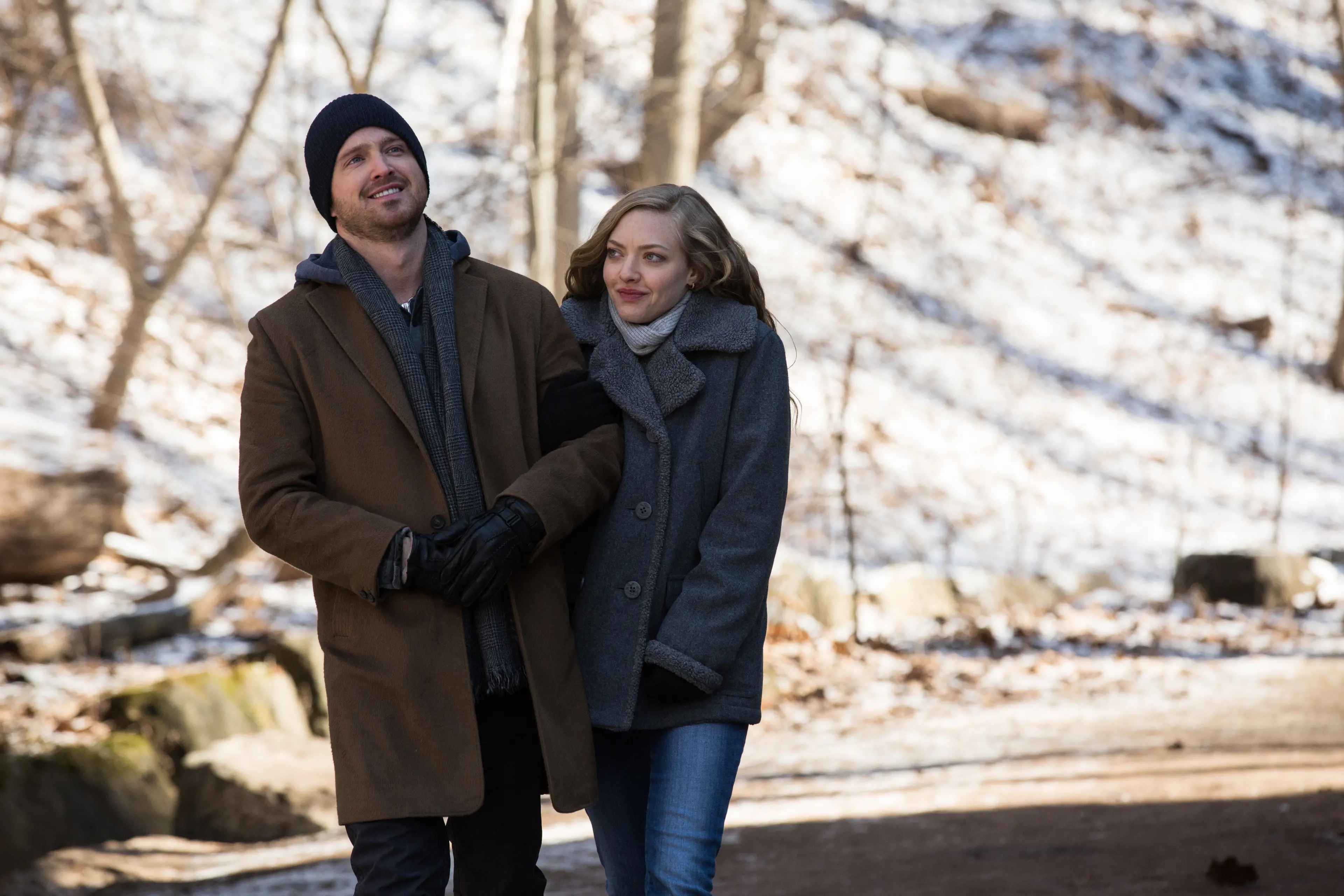 Aaron Paul e Amanda Seyfried in Padri e figlie