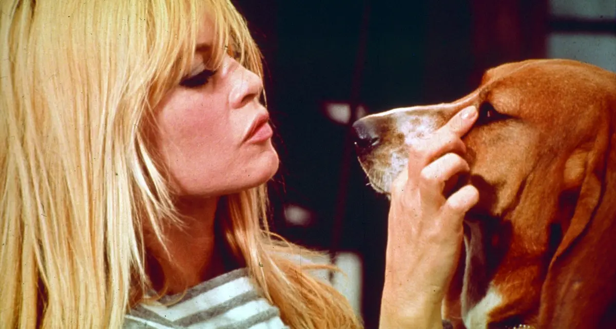 Addio a Brigitte Bardot