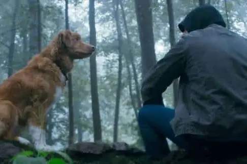 Good Boy (2025)