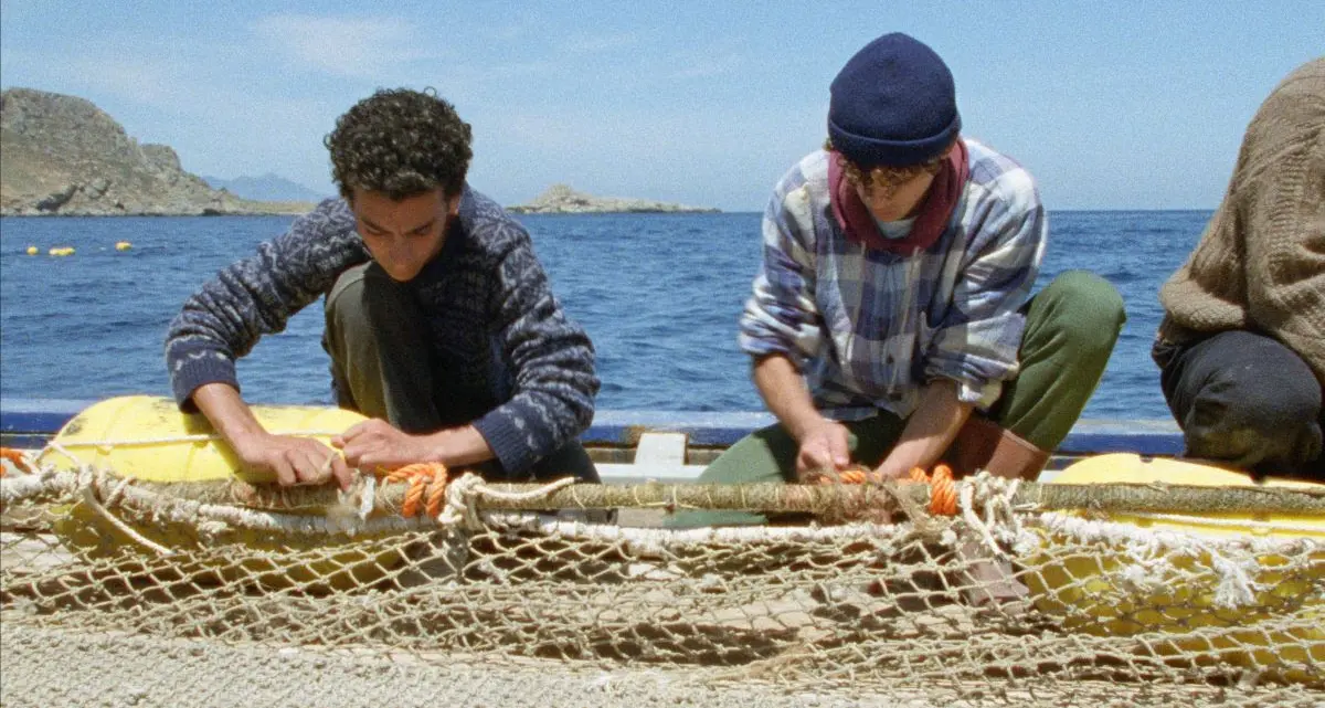 L'isola, vent'anni dopo