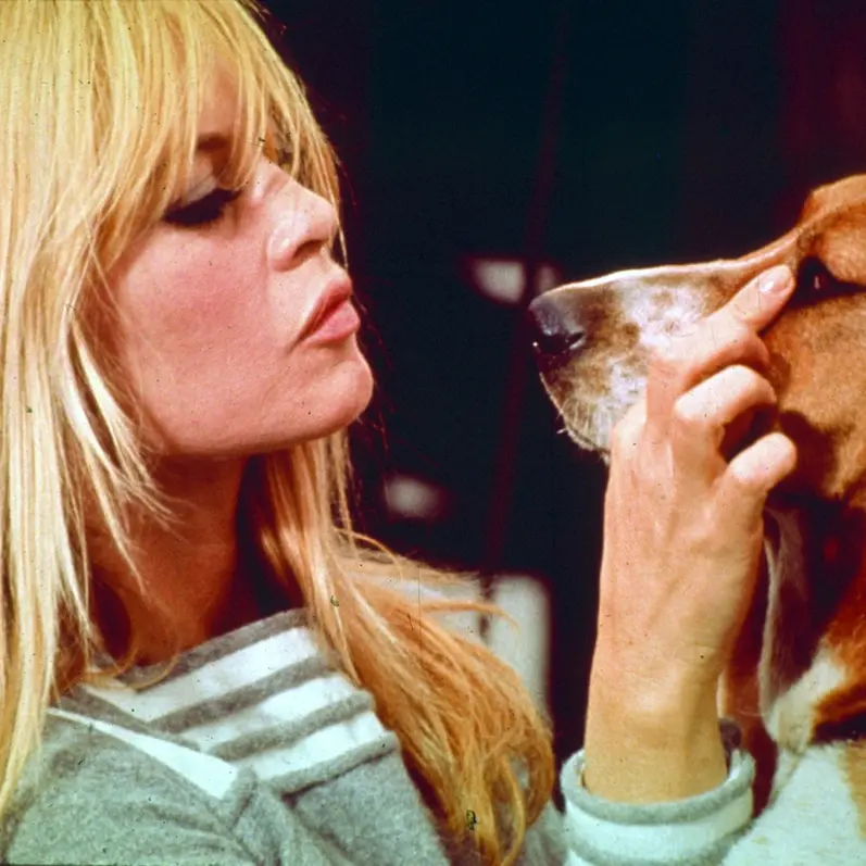 Addio a Brigitte Bardot