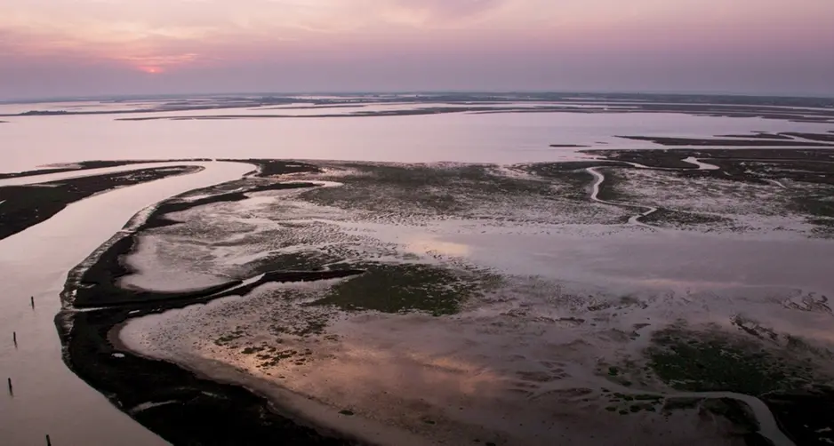 Amate sponde, una landscape-suite in 4K
