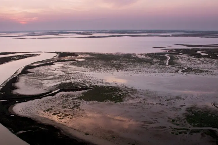 Amate sponde - Laguna di Venezia