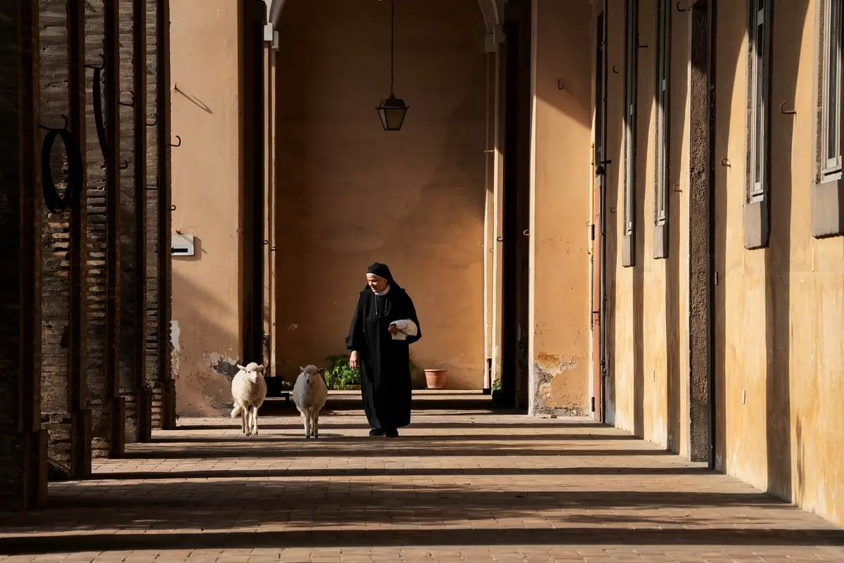 Agnus dei , Riccardo Ghilardi