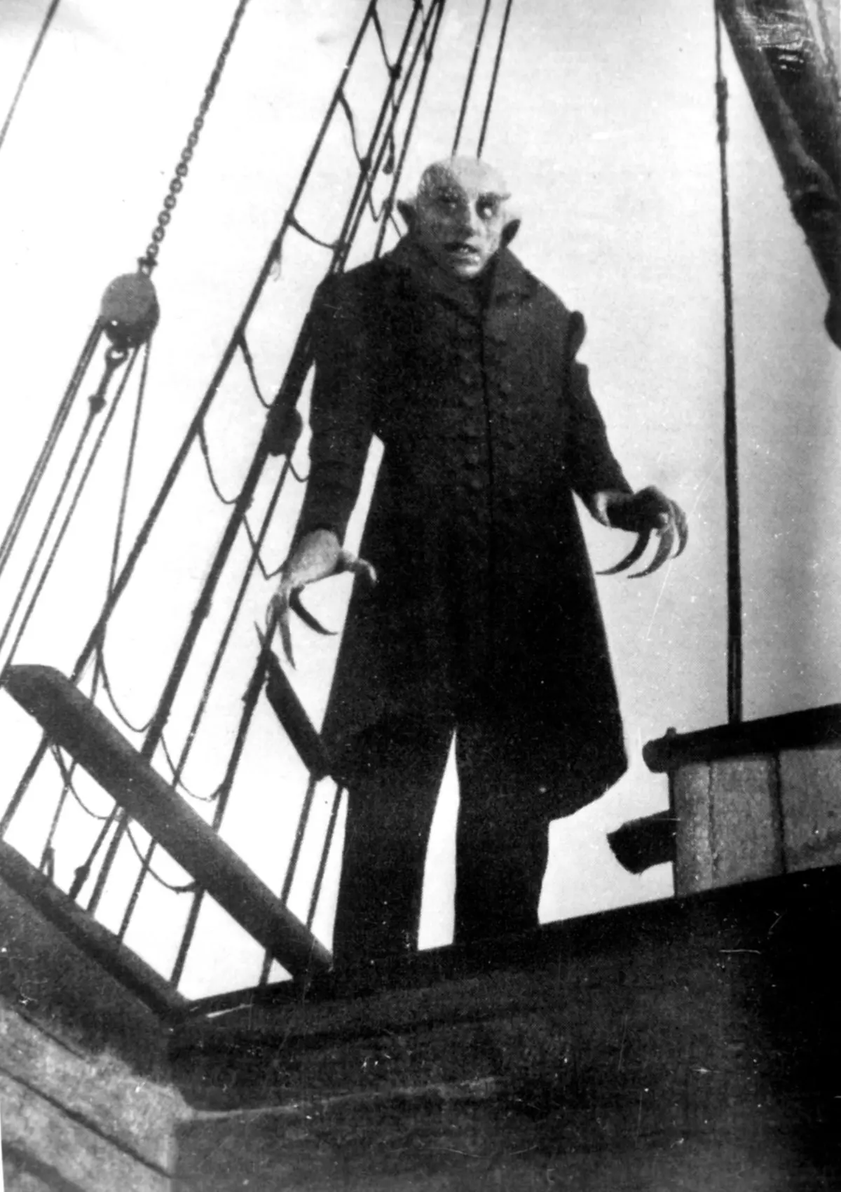 Nosferatu (Webphoto)