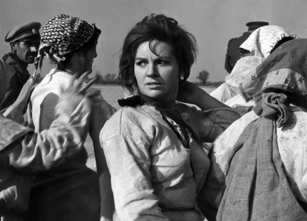 Lady Macbeth siberiana