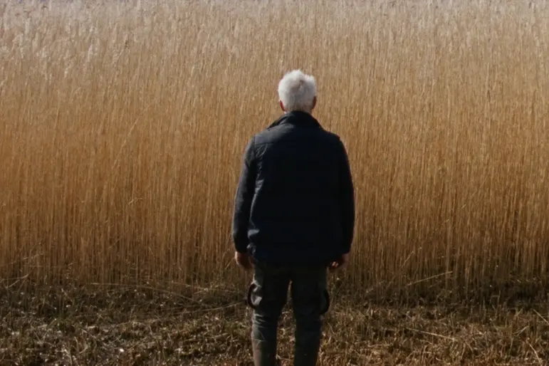 Reedland, in concorso a Tertio Millennio Film Fest