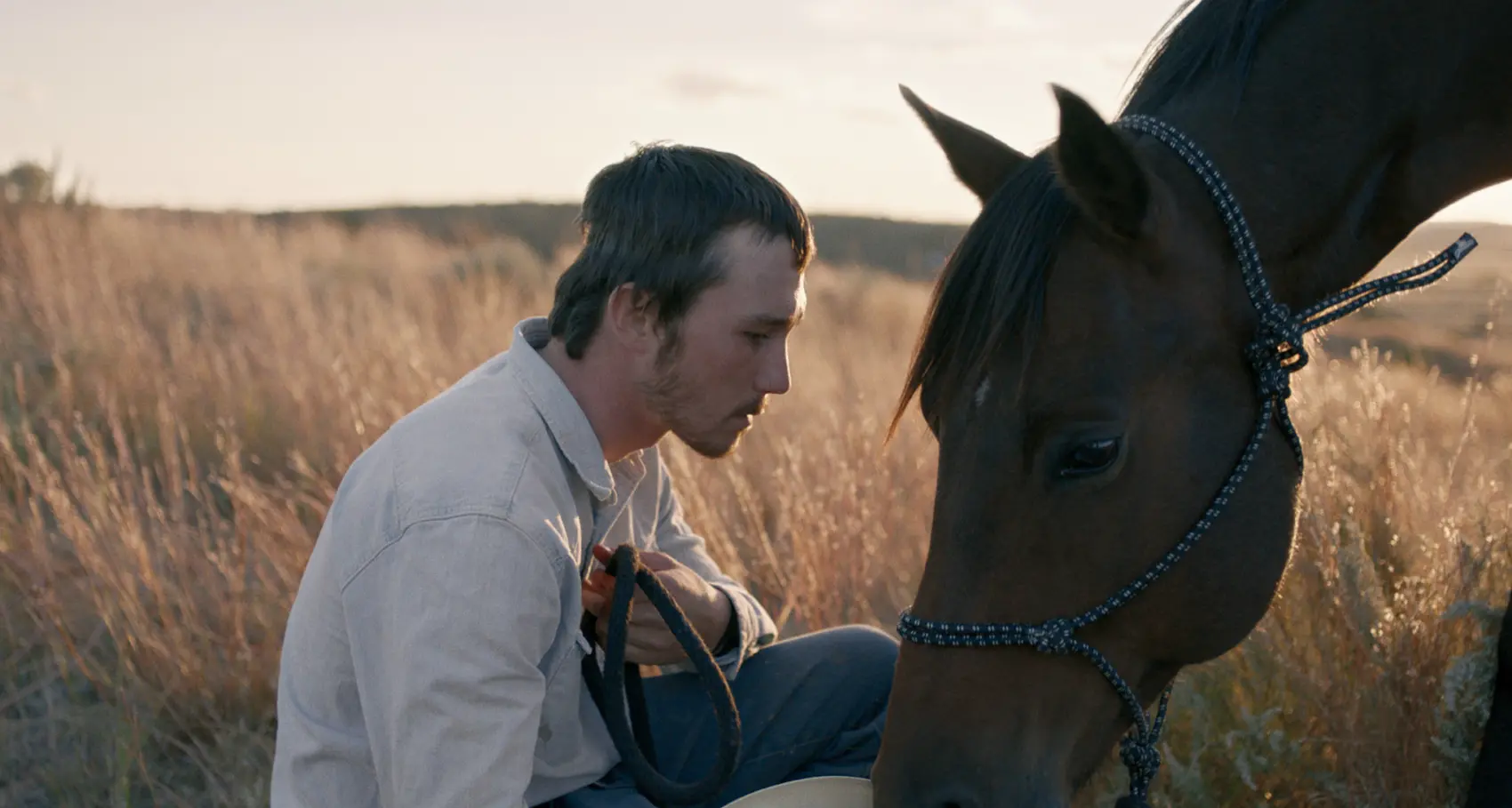 The Rider - Il sogno di un cowboy