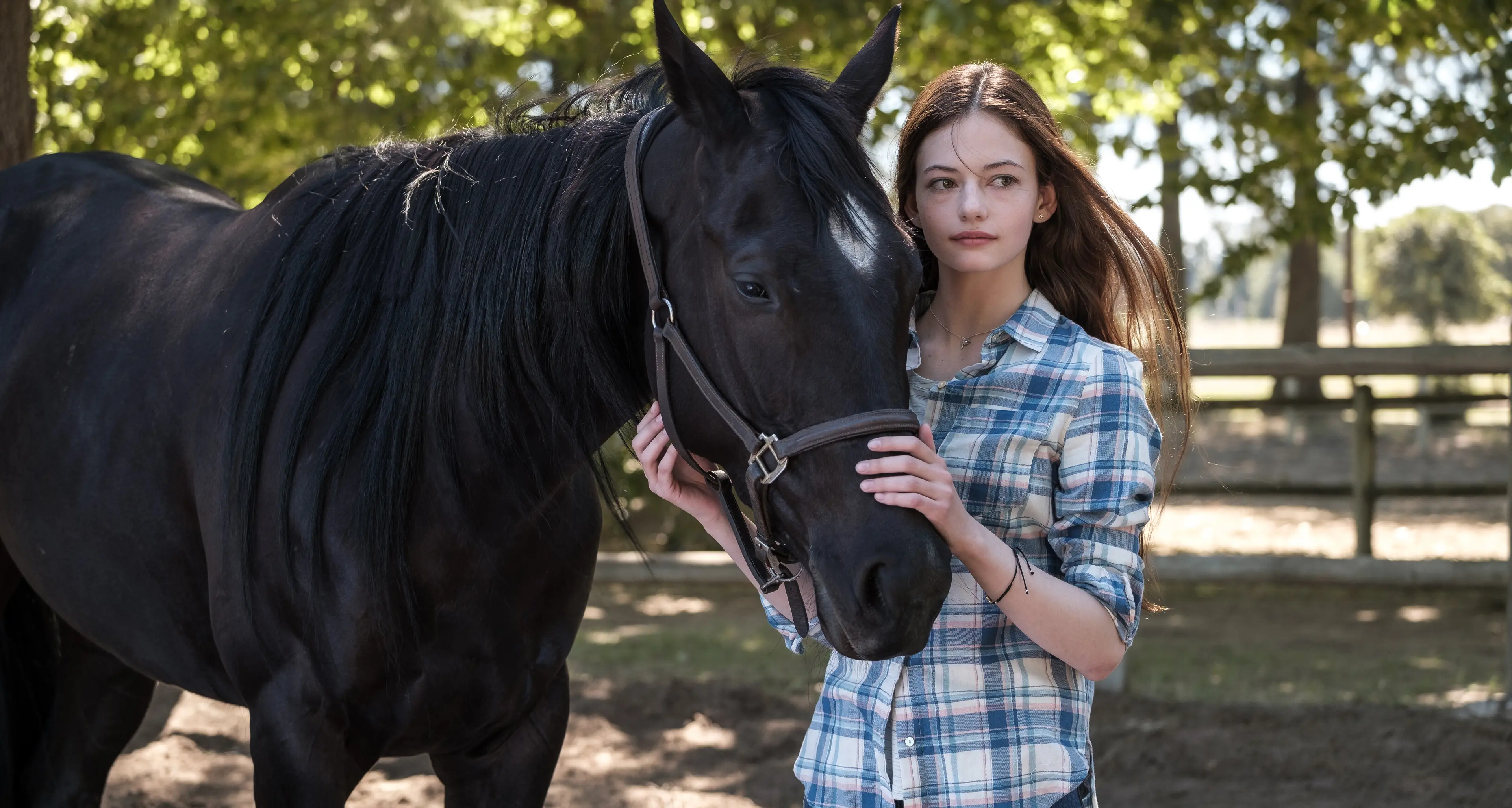 Black Beauty su Disney+