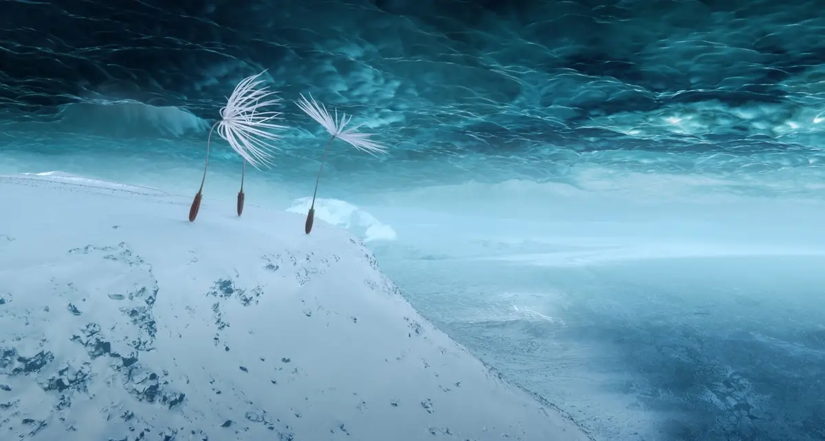 Dandelion’s Odyssey