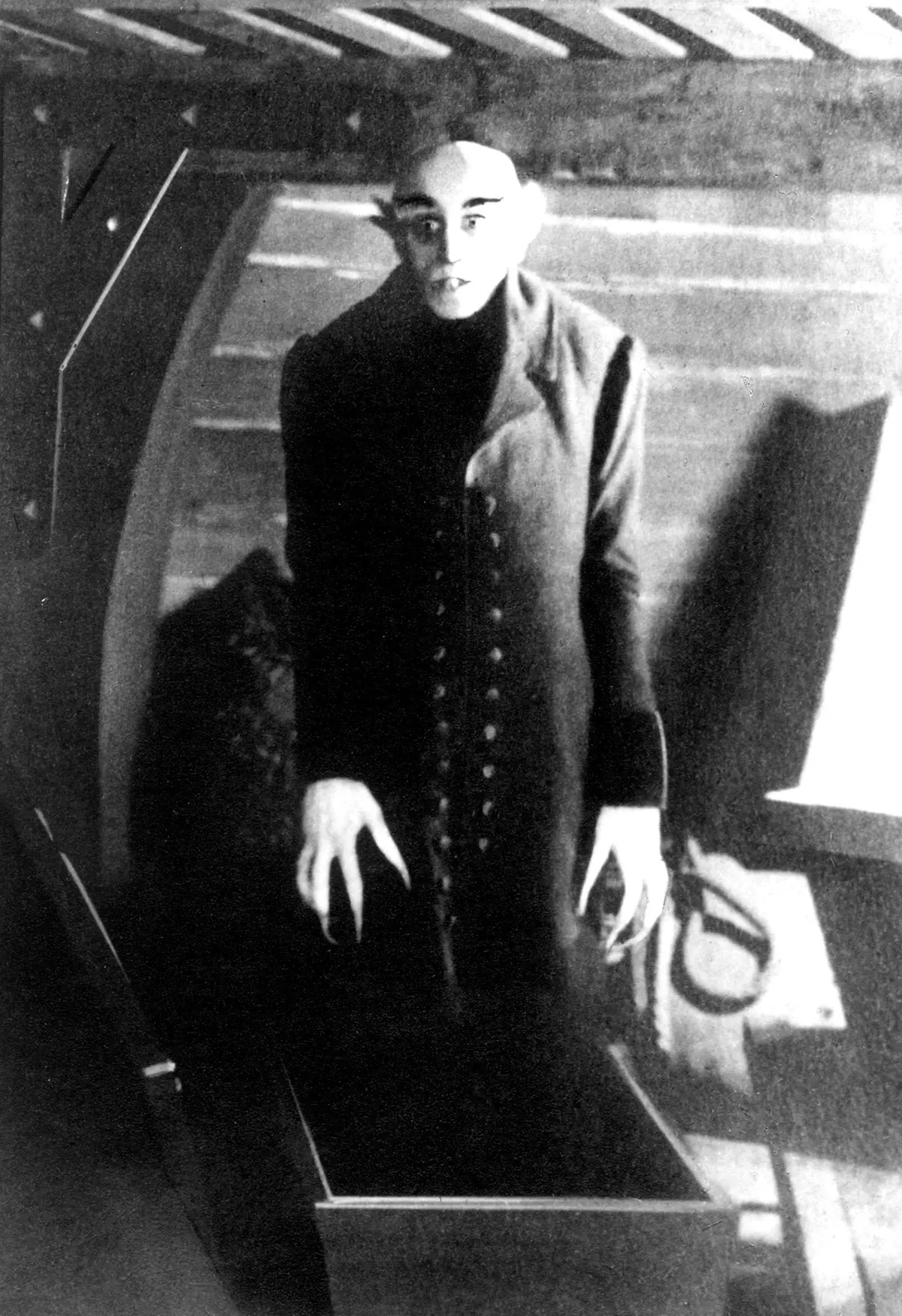 Nosferatu (Webphoto)