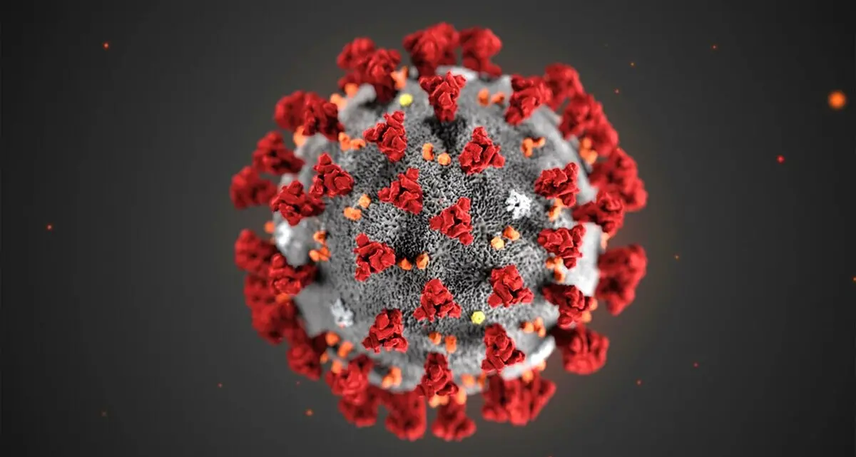 Coronavirus, #iorestoacasa