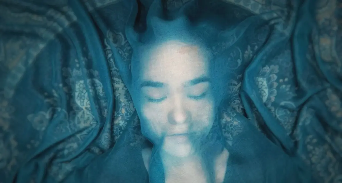 A Fox Under a Pink Moon