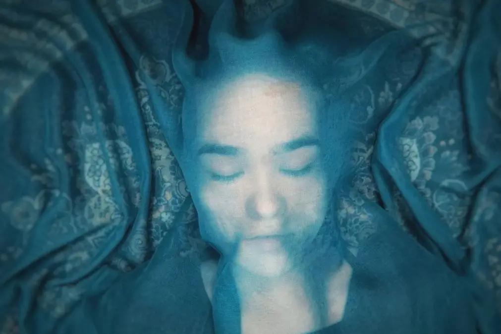 A Fox Under a Pink Moon