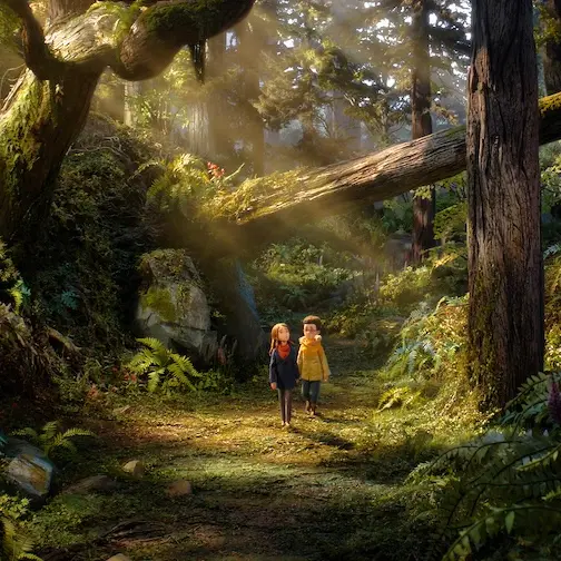 Wildwood - I segreti del bosco proibito