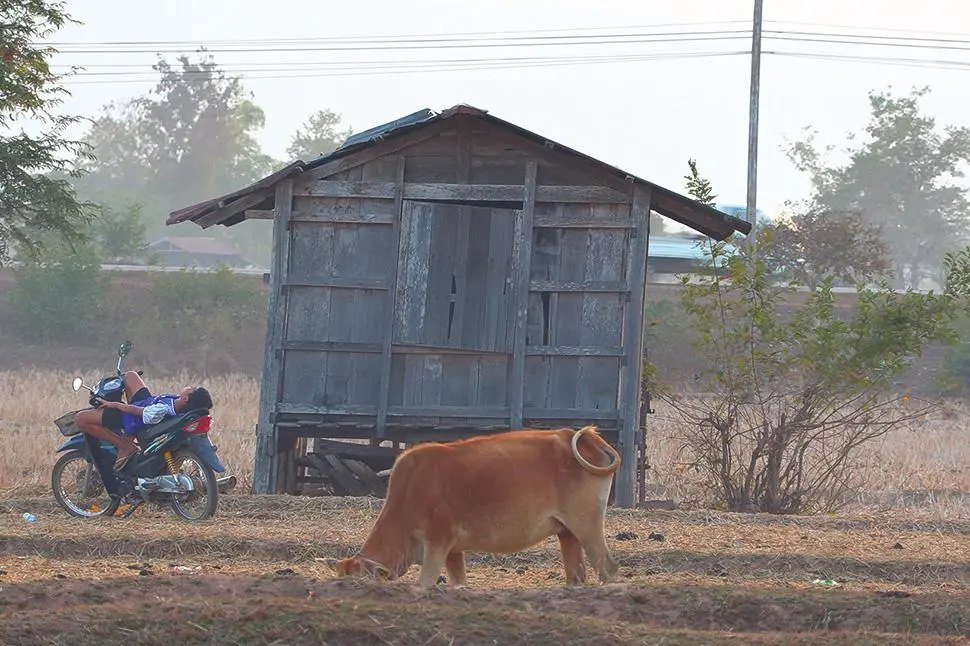 Hui jia (Back Home)