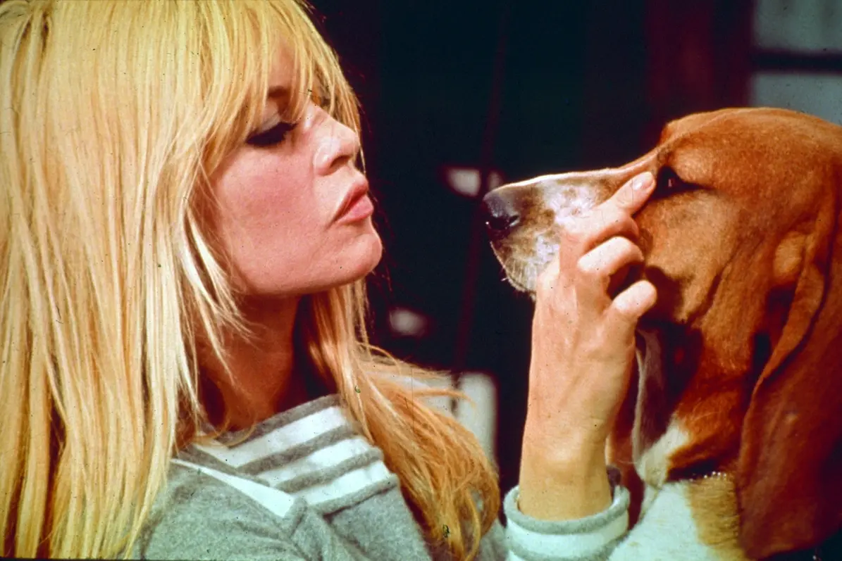 Brigitte Bardot in Femmina (1959) @Webphoto