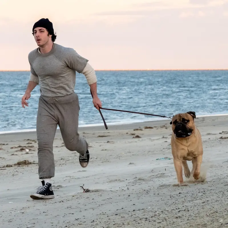 Toronto, tra i film in programma anche il biopic su Stallone
