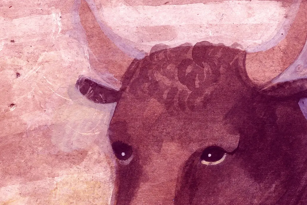 illustrazione originale di Mara Cerri